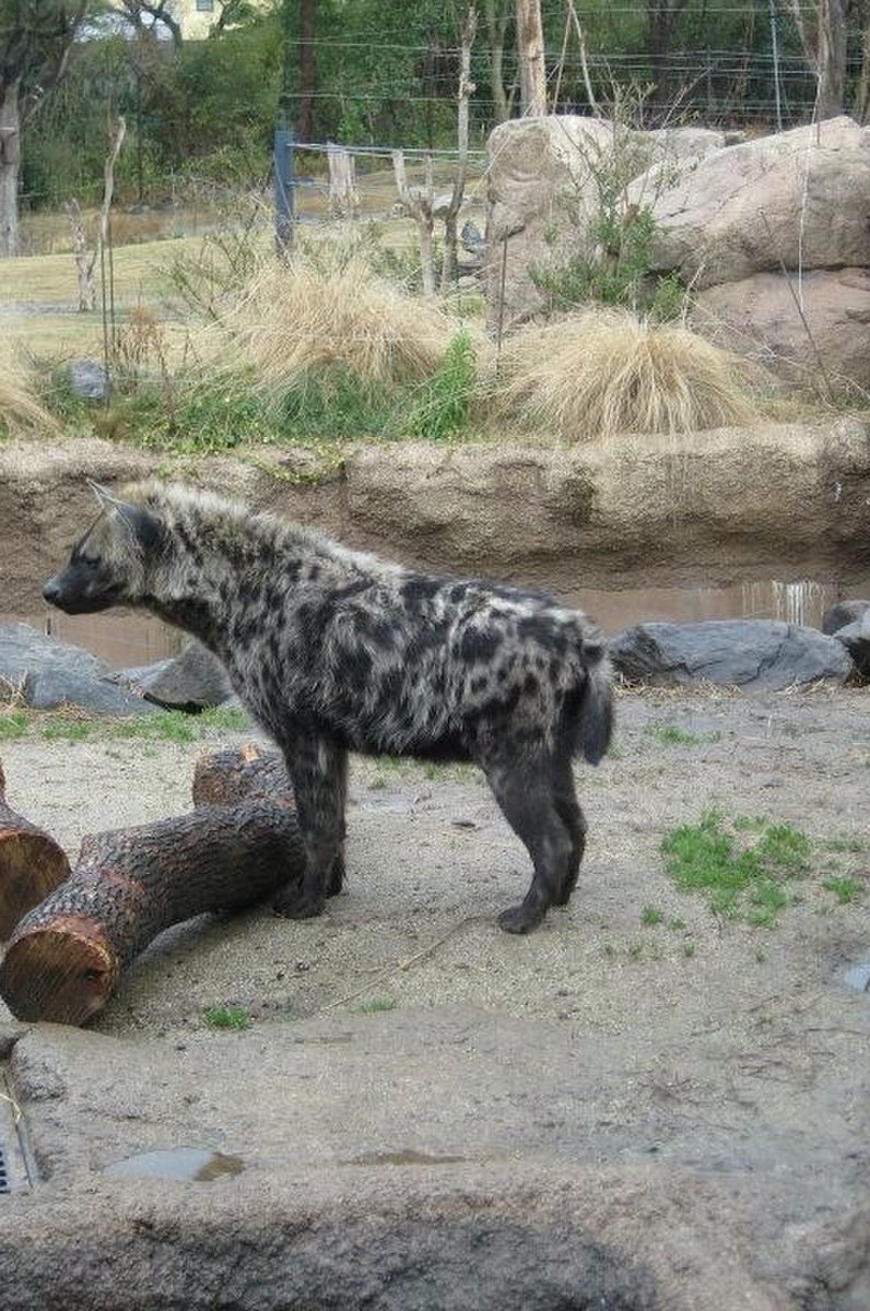 天王寺動物園