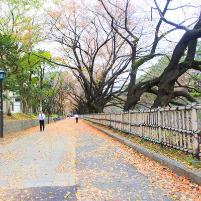 愛知県体育館