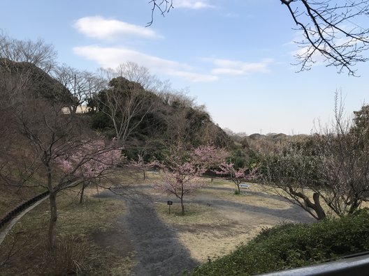 金沢動物園