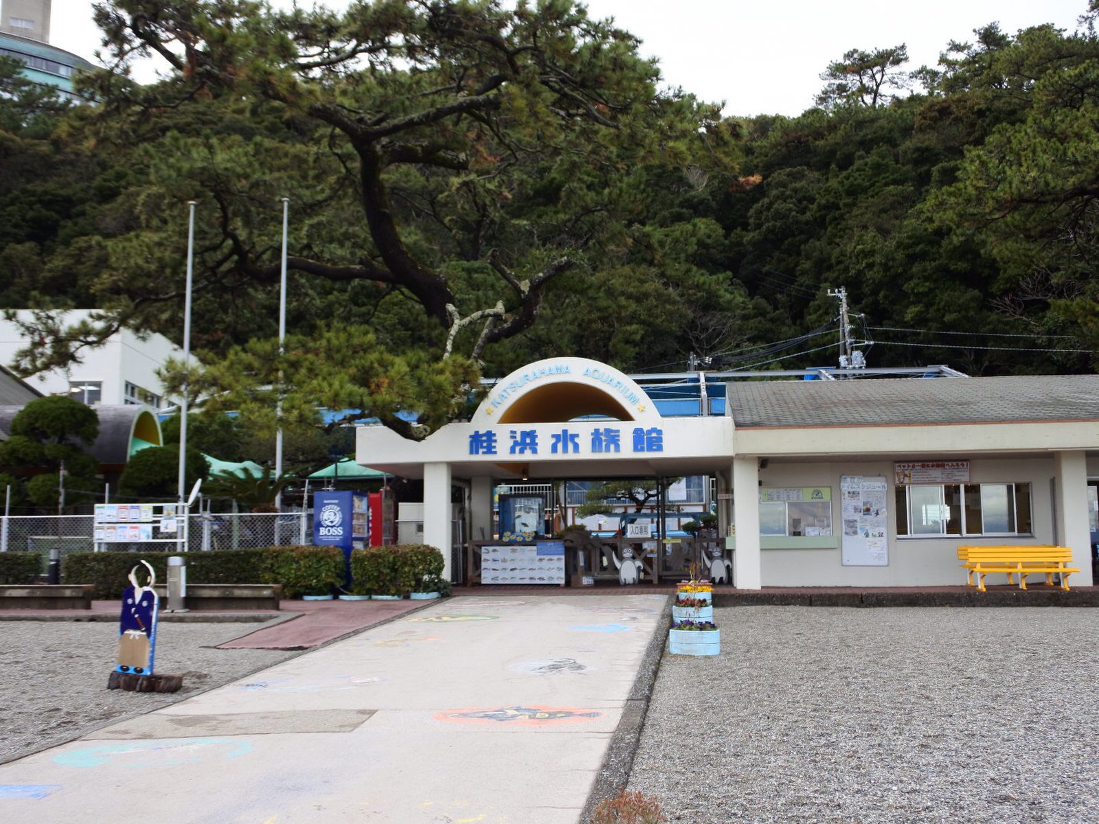 桂浜水族館