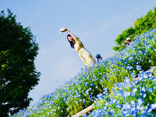 国営昭和記念公園