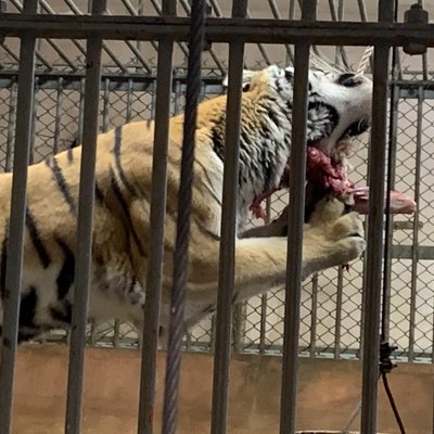 東京都多摩動物公園