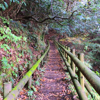 岩湧山