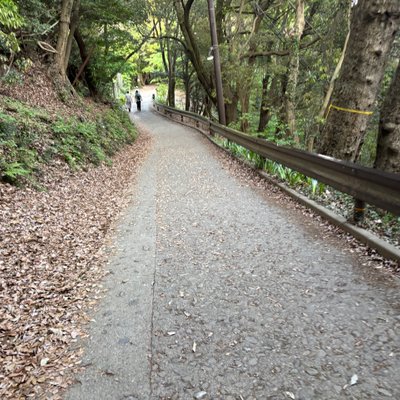 高尾山