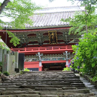 雨引山楽法寺(雨引観音)