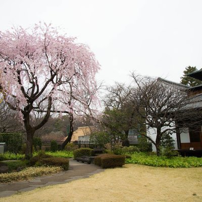 江戸東京たてもの園