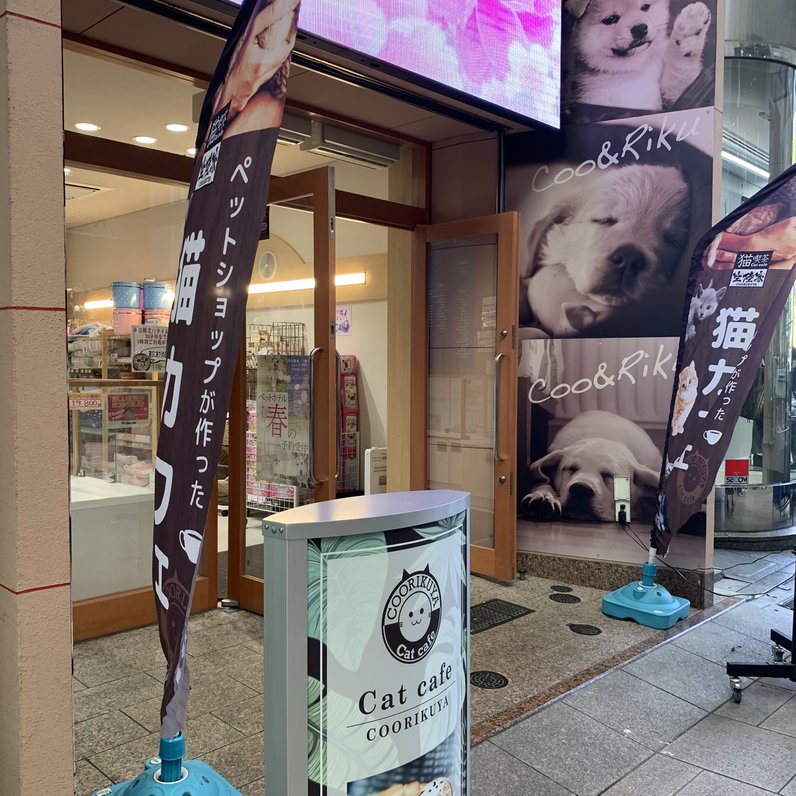 猫カフェ 猫喫茶 空陸家 広島本通店