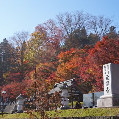 永源寺 (もみじ寺)