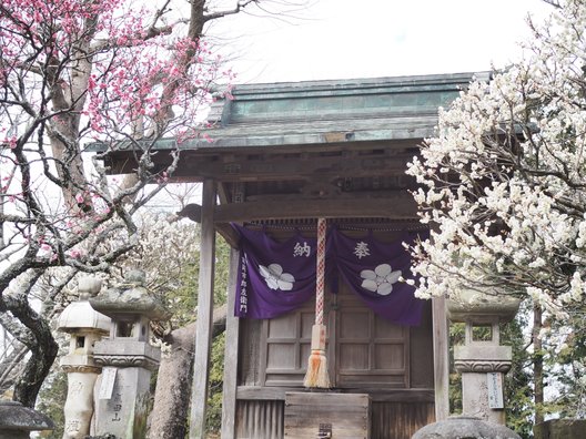 成田山公園内梅林