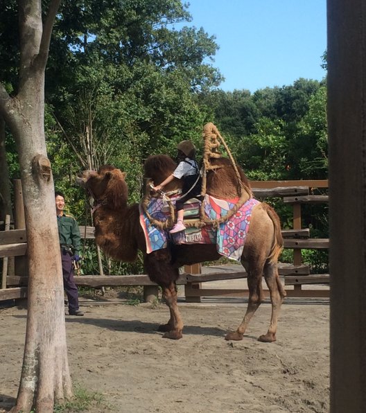 よこはま動物園ズーラシア