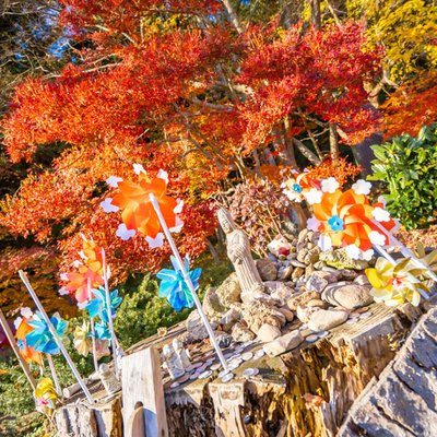 宝珠山立石寺