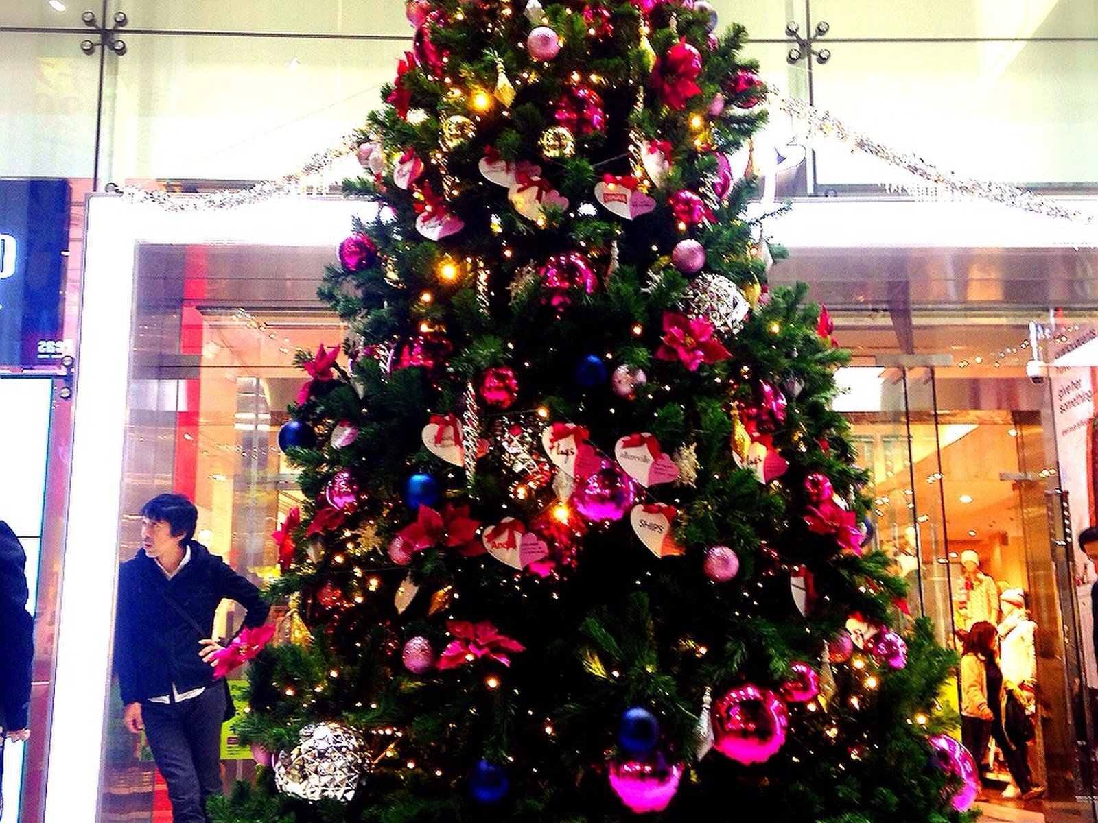 東京都内で無料で見られるクリスマスツリー特集 カップルにおすすめデートスポット Playlife プレイライフ