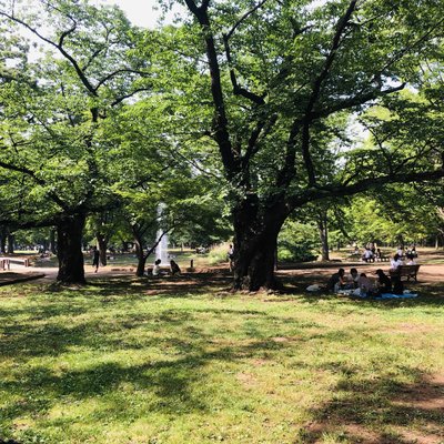 代々木公園