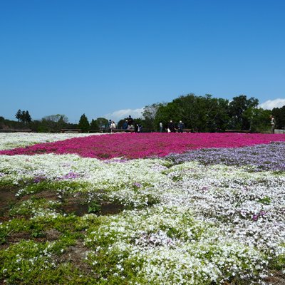 富田さとにわ耕園