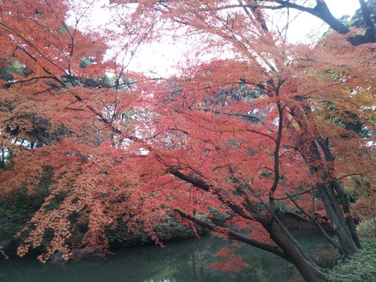 六義園