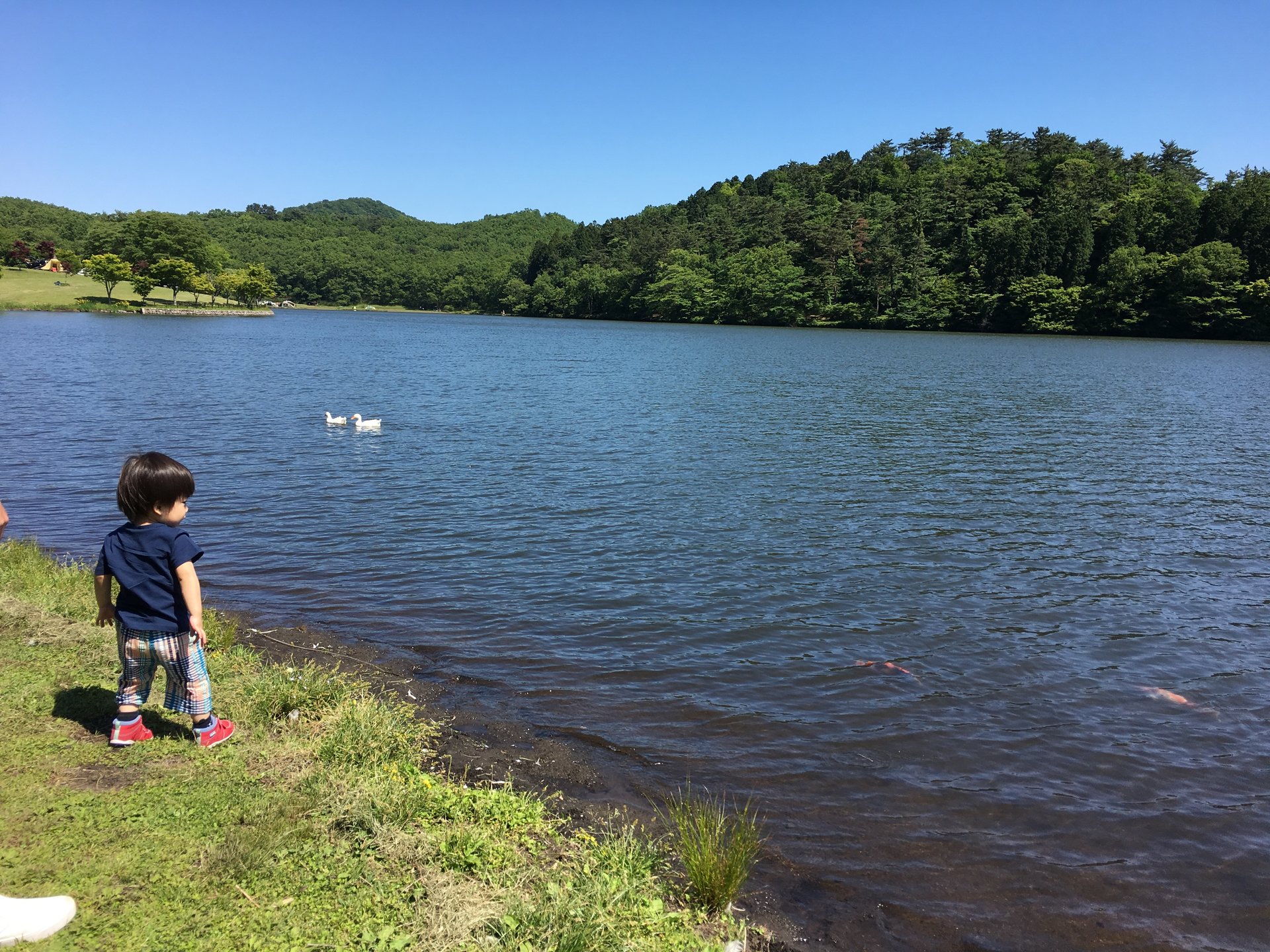 志高湖キャンプ場