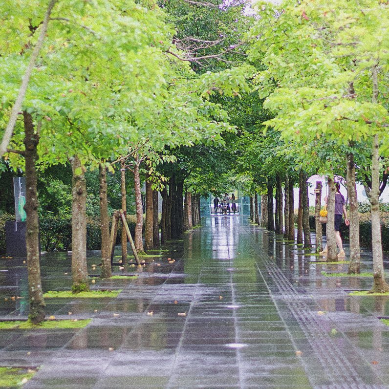 鹿児島県霧島アートの森