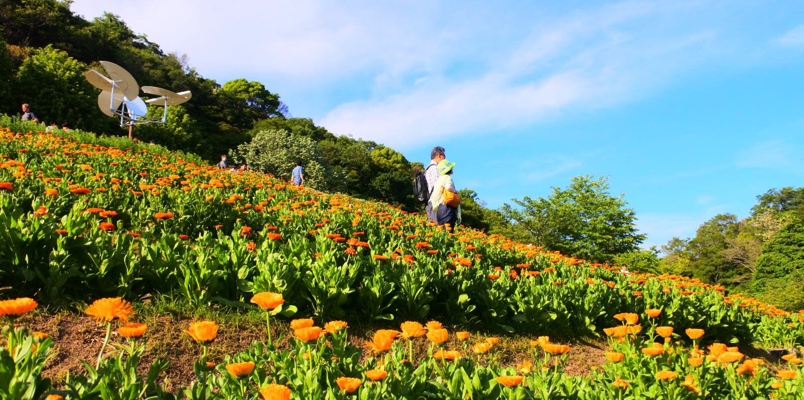 神戸布引ハーブ園