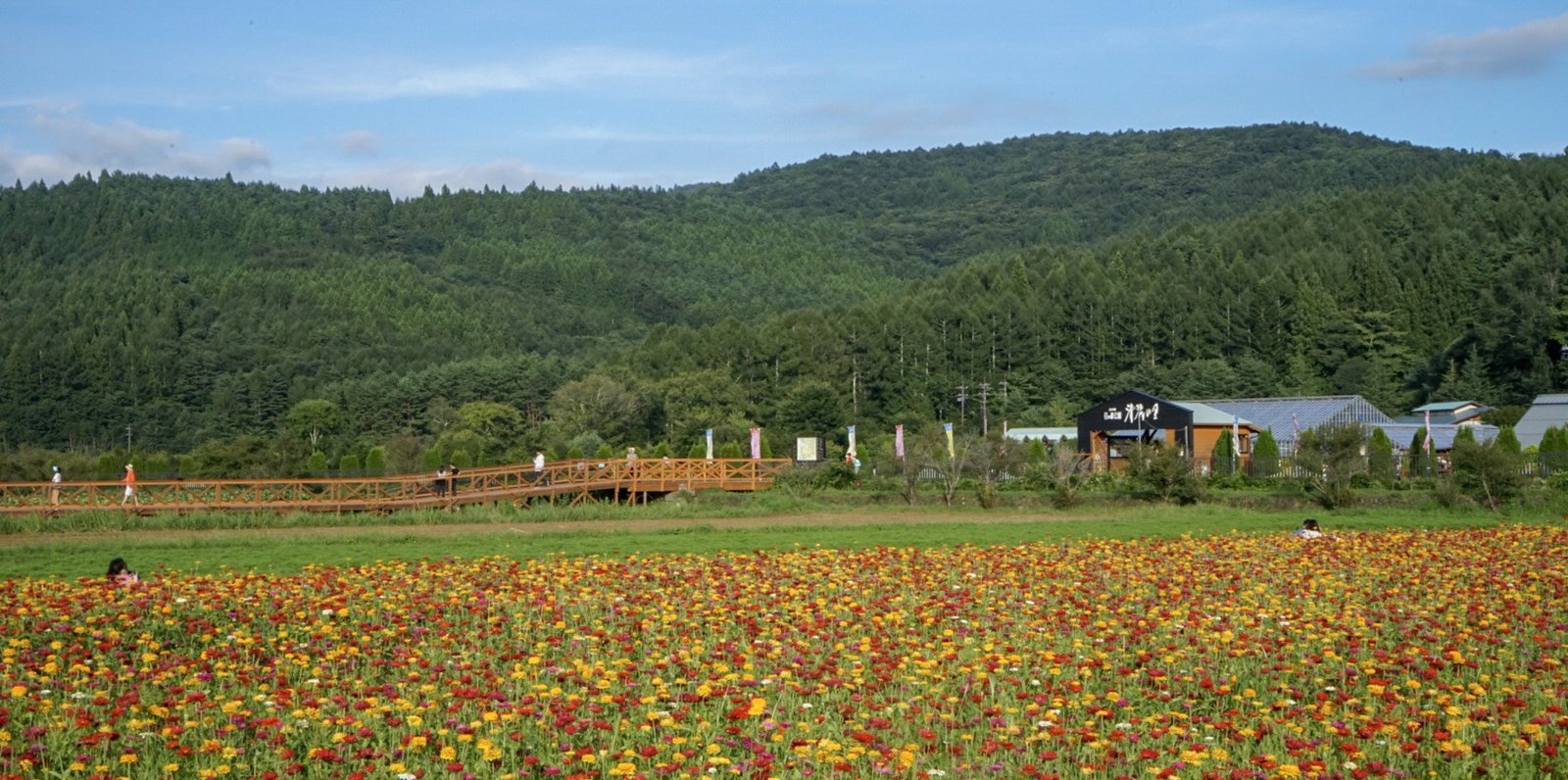 山中湖花の都公園