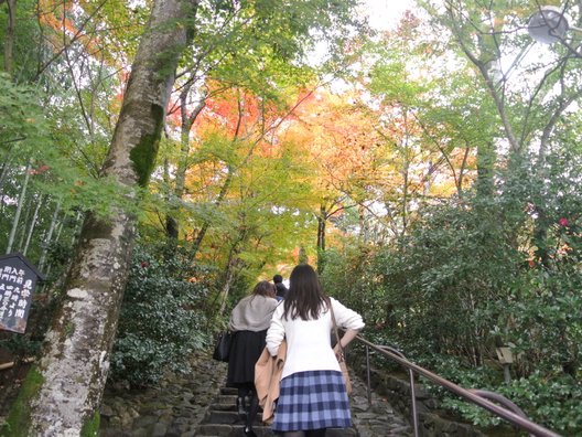 鈴虫寺(華厳寺)