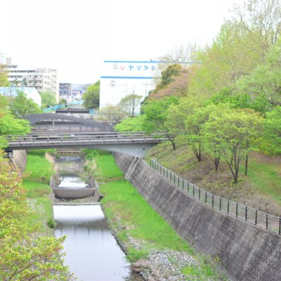 国営昭和記念公園