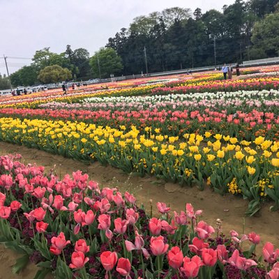 あけぼの山農業公園