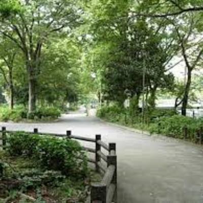 新宿中央公園