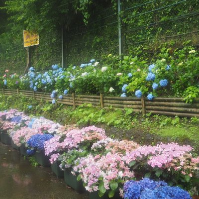 宮ノ下駅