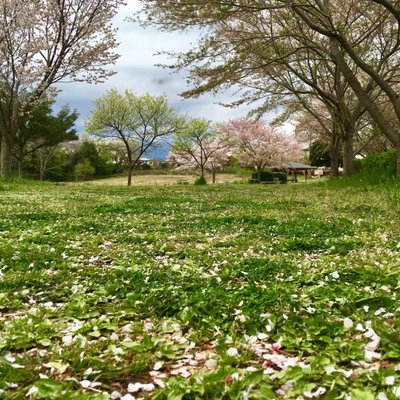 ラディアン花の丘公園