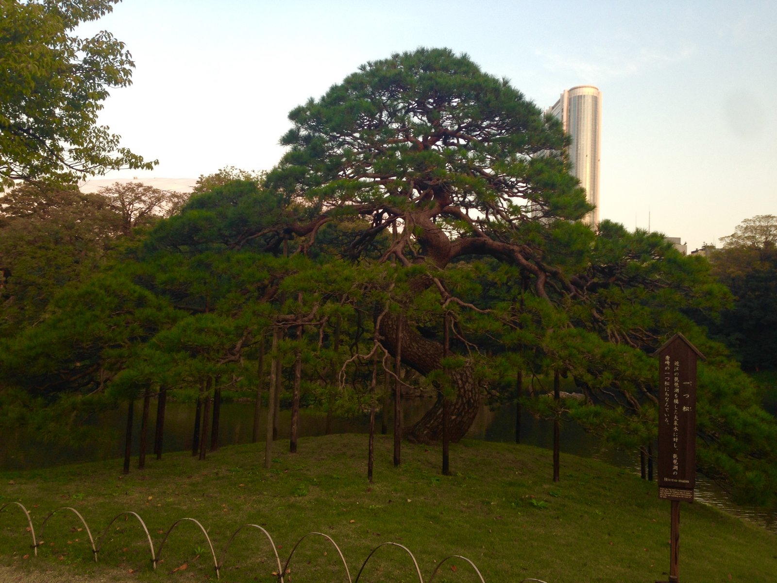 小石川後楽園