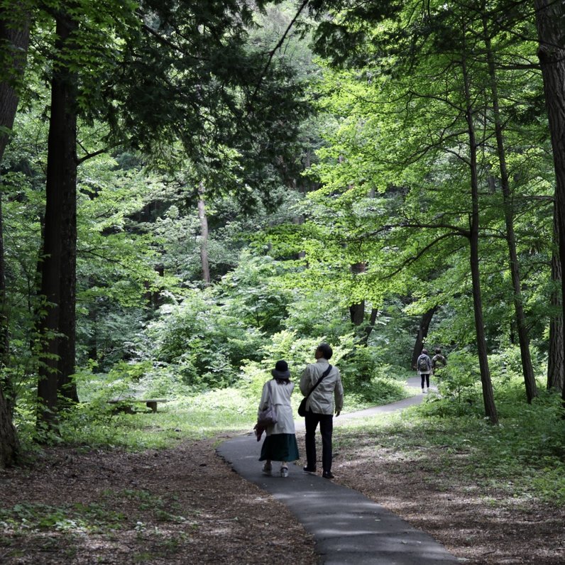 円山公園