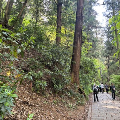高尾山