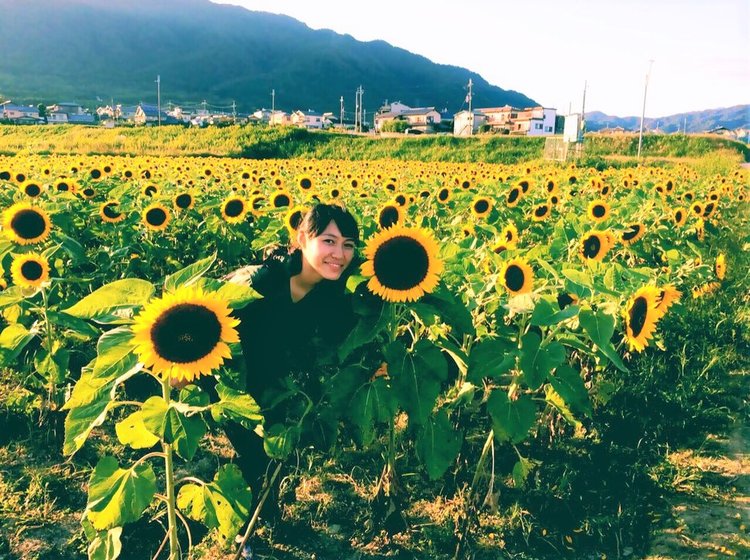 関西 夏にひまわりを見れなかったあなたへ 京都 大原野ではひまわり畑が秋に満開 Playlife プレイライフ