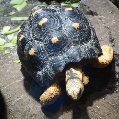 サンシャイン水族館