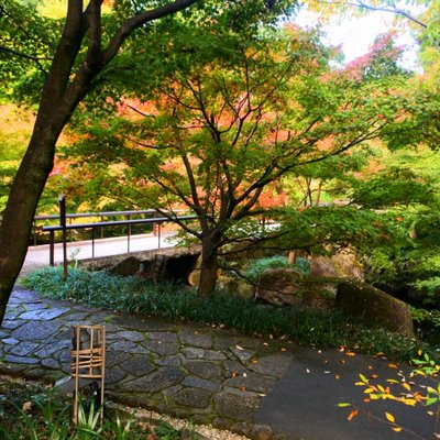 徳川園