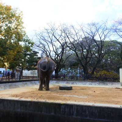 姫路市立動物園