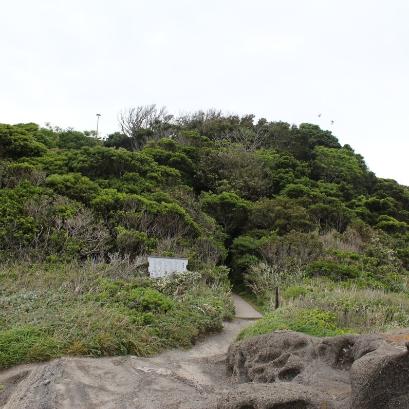 城ヶ島