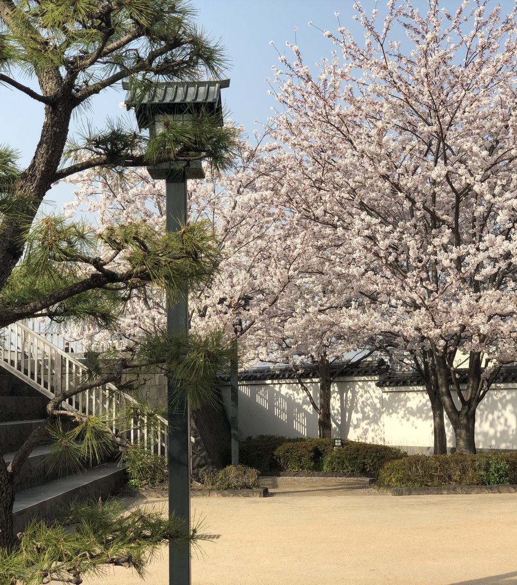 新川西水門広場