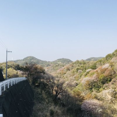 根来寺