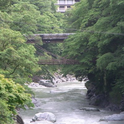 祖谷のかずら橋