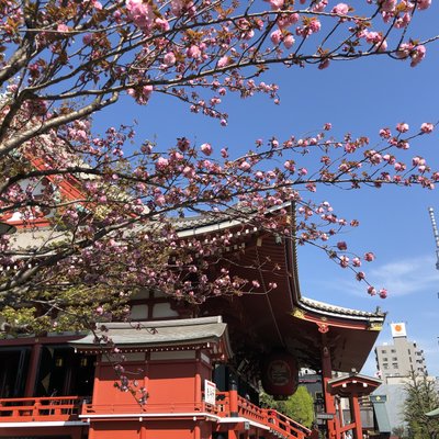 浅草寺