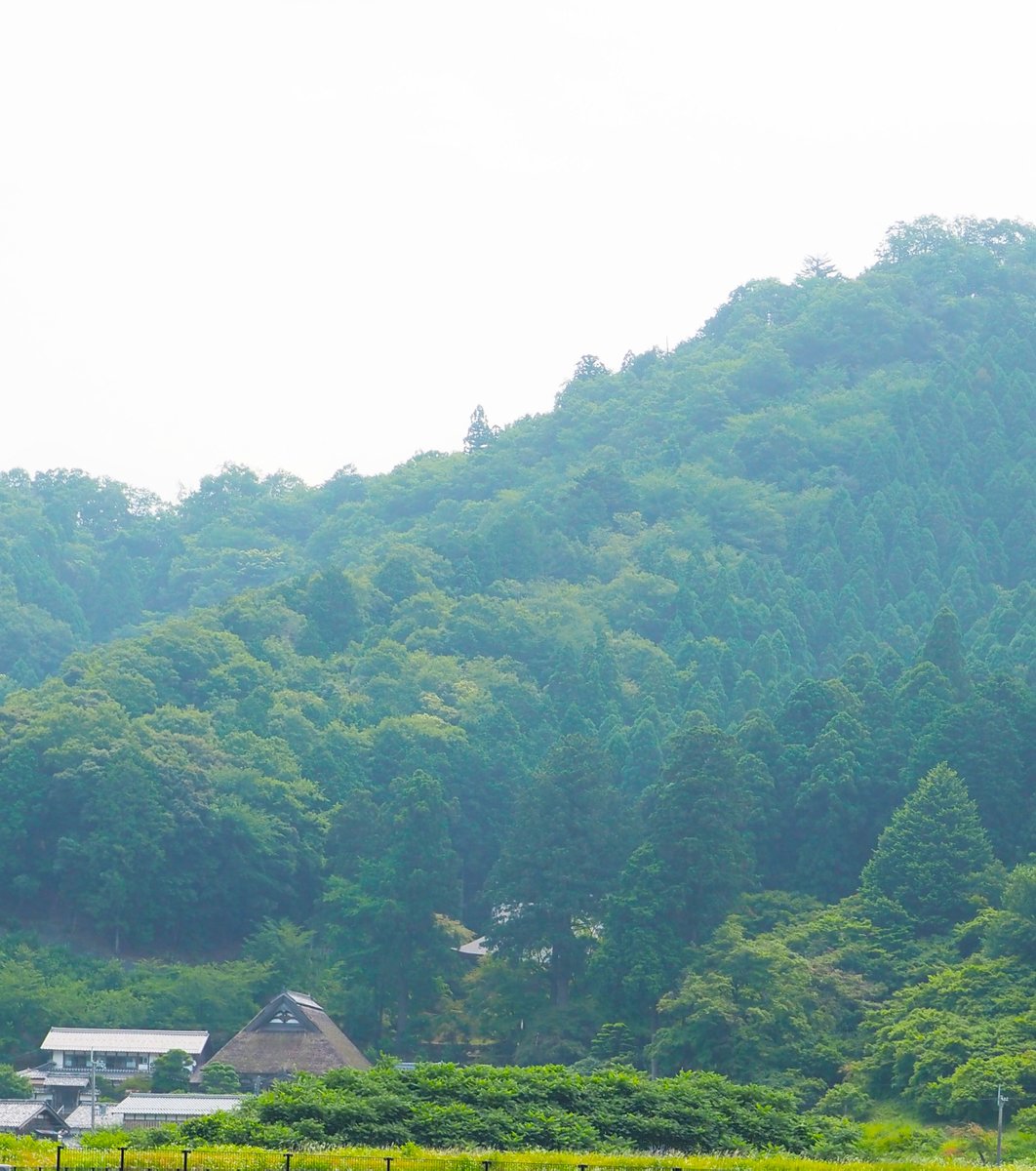 東小浜駅