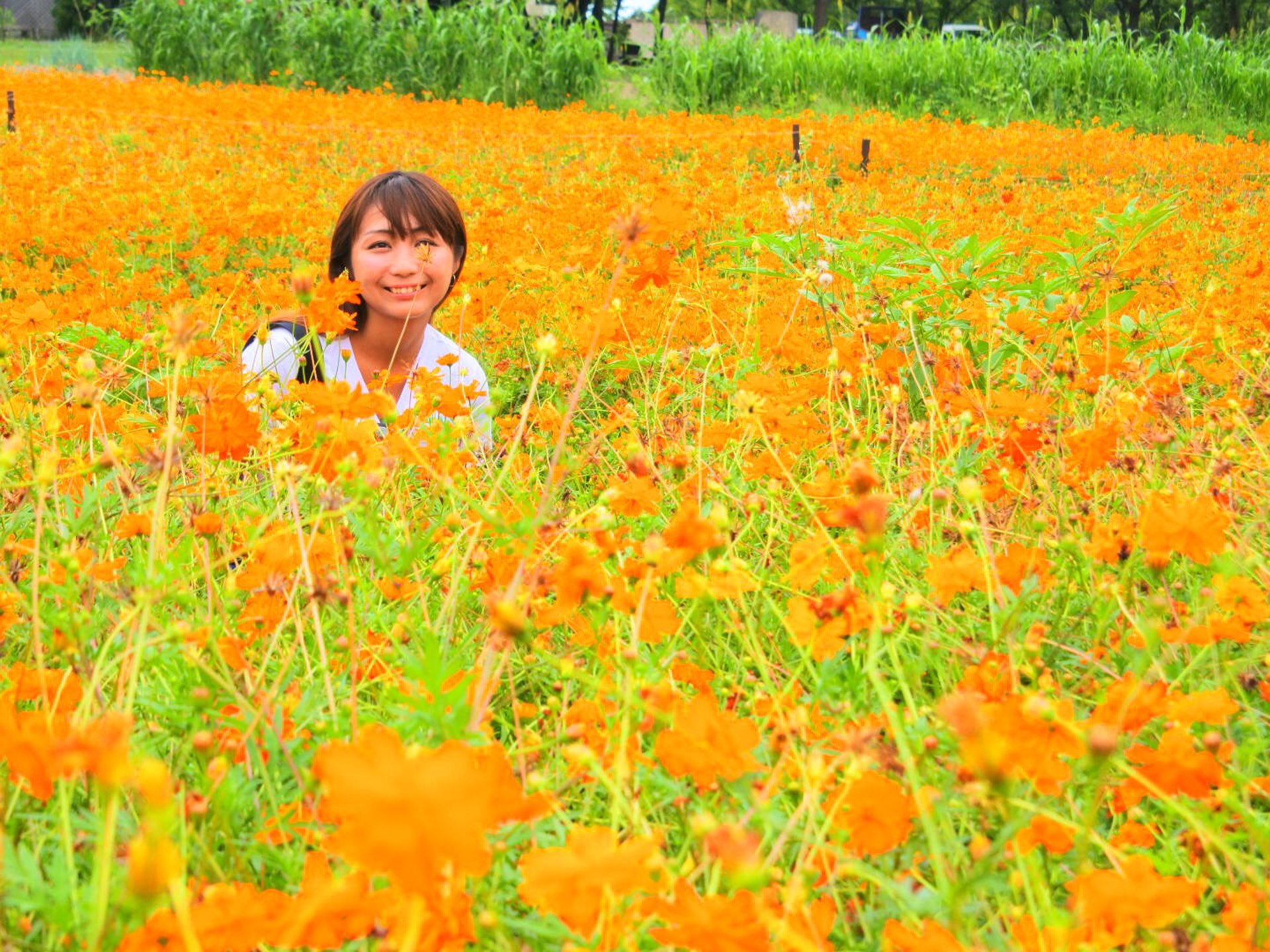 滋賀農業公園ブルーメの丘