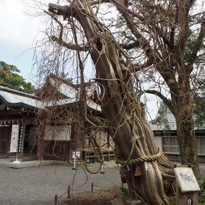 白浜神社