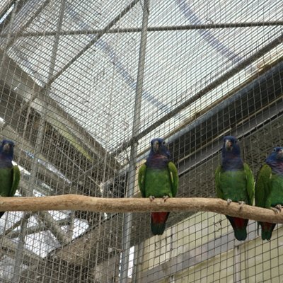 掛川花鳥園