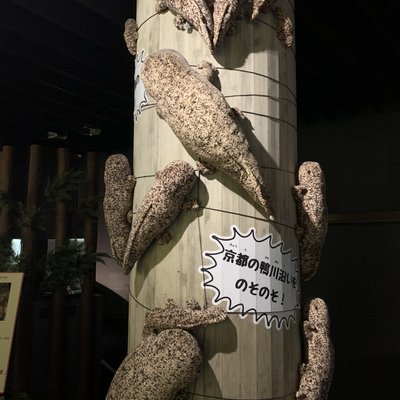 京都水族館