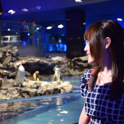 すみだ水族館