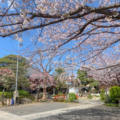 安養院