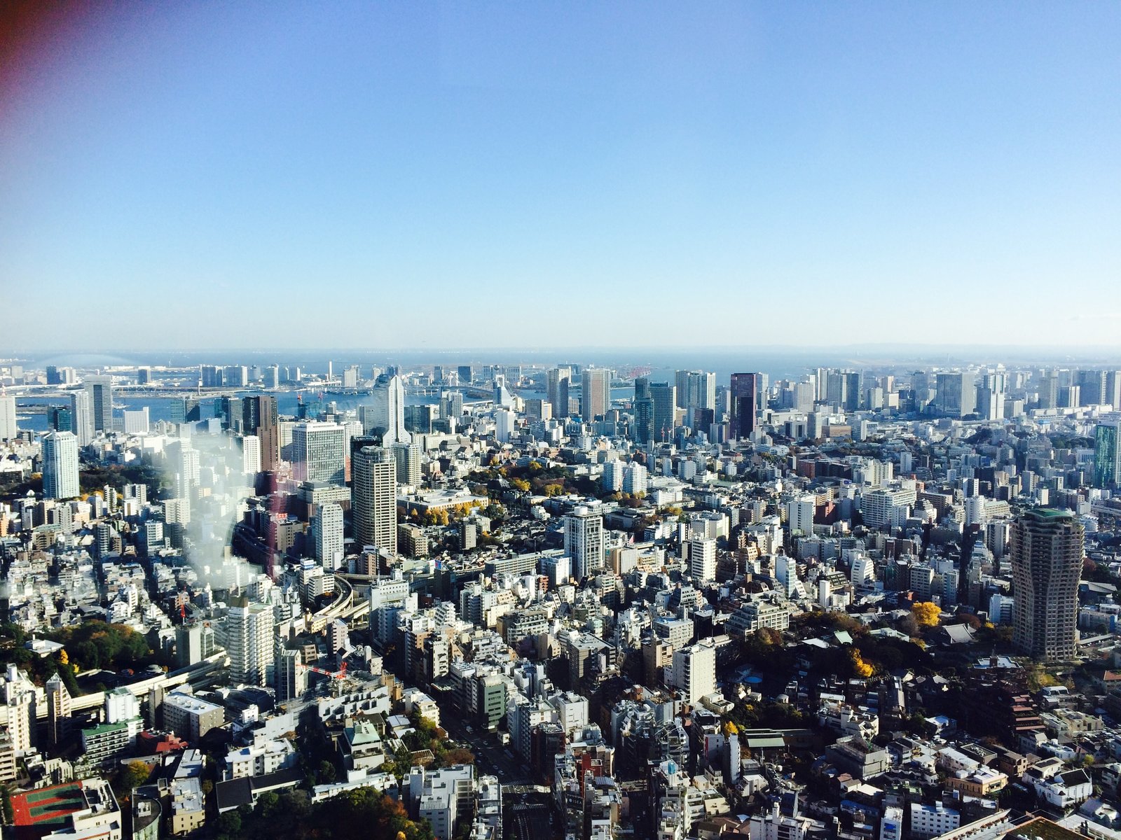 東京シティビュー