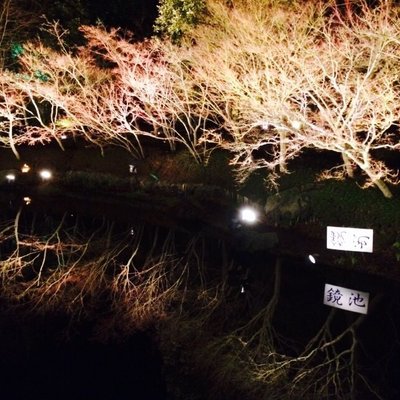 長島温泉 なばなの里 里の湯